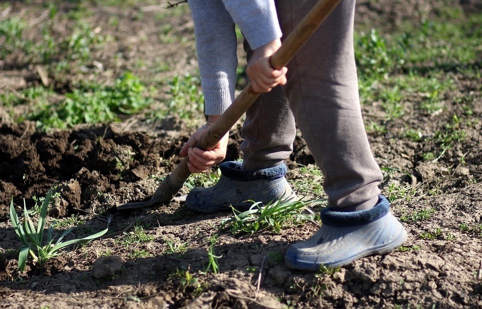 Готовим грядки для весны: разные способы обработки почвы