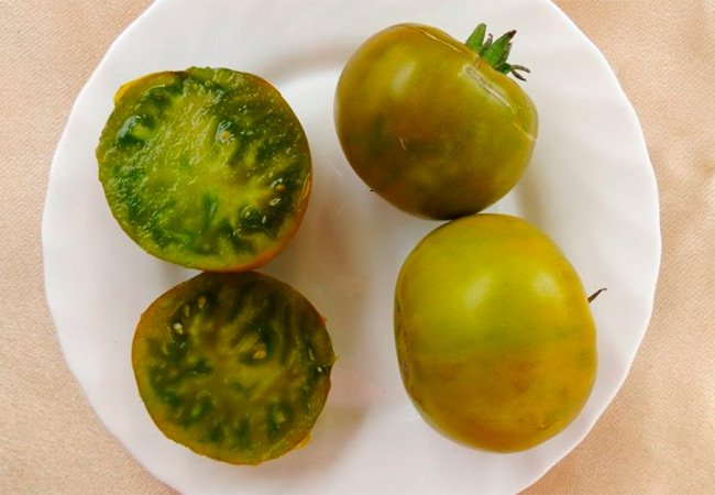 Сорта зеленых помидор: фото, особенности, описание зеленоплодных томатов