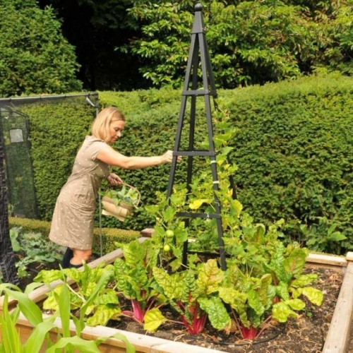 Опоры для растений своими руками – 15 отличных вариантов для сада и огорода