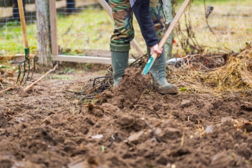Осеннее перекапывание огорода – преимущества, недостатки и надо ли вообще