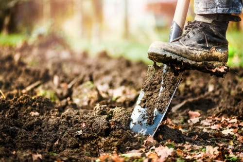 Осеннее перекапывание огорода – преимущества, недостатки и надо ли вообще