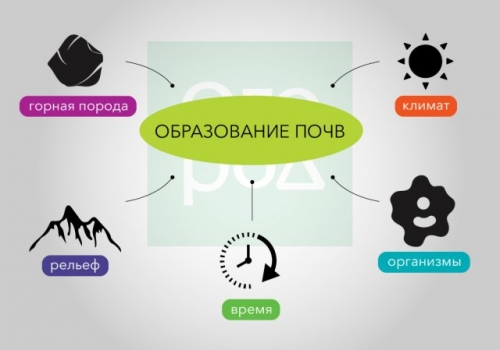 Как появились вода, почва и растения – интересно о сложном для любопытных дачников