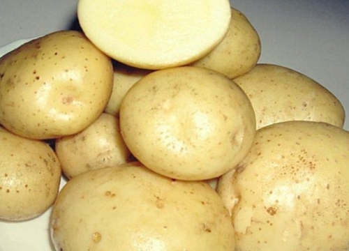 50 сортов картофеля для пюре, жарки, запекания и картошки фри